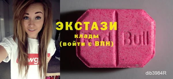 гидра Богородицк