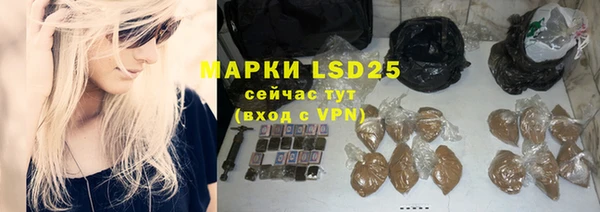 гидра Богородицк