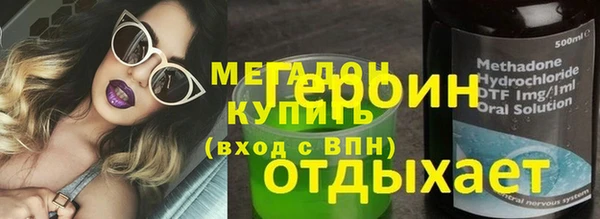 гидра Богородицк