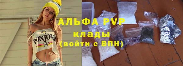 гидра Богородицк