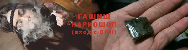 гидра Богородицк