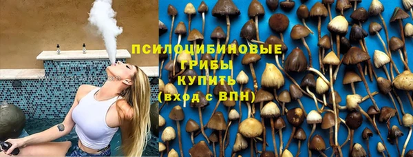 гидра Богородицк