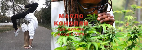 гидра Богородицк