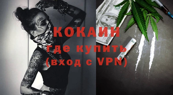 гидра Богородицк