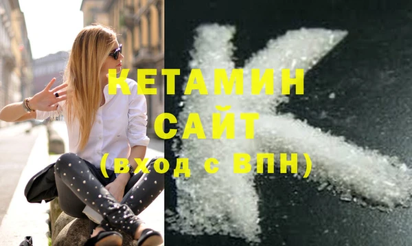 гидра Богородицк