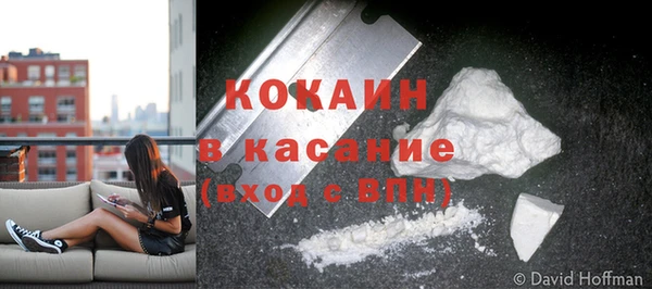 гидра Богородицк