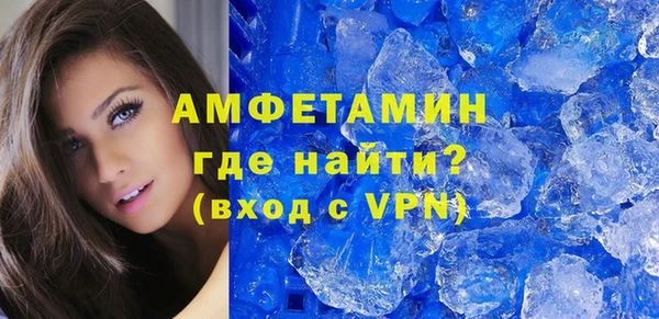 гидра Богородицк