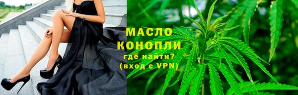 гидра Богородицк